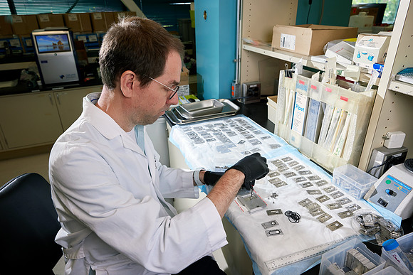 XBD-202406-116